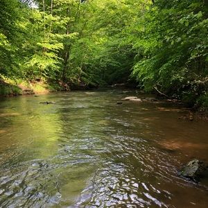 Meet your Posher, Blake